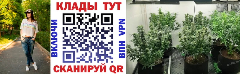 Магазин наркотиков Ленинск-Кузнецкий Cocaine  Галлюциногенные грибы  СК  Бошки Шишки  Гашиш 