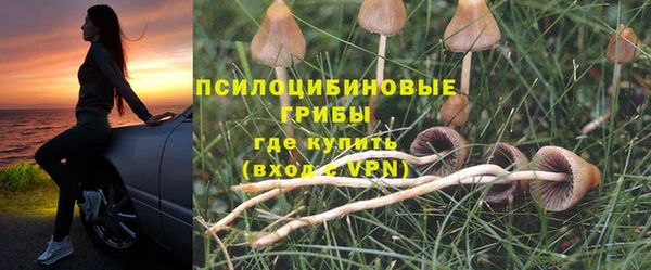 хмурый Краснотурьинск