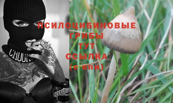 PSILOCYBIN Алексеевка