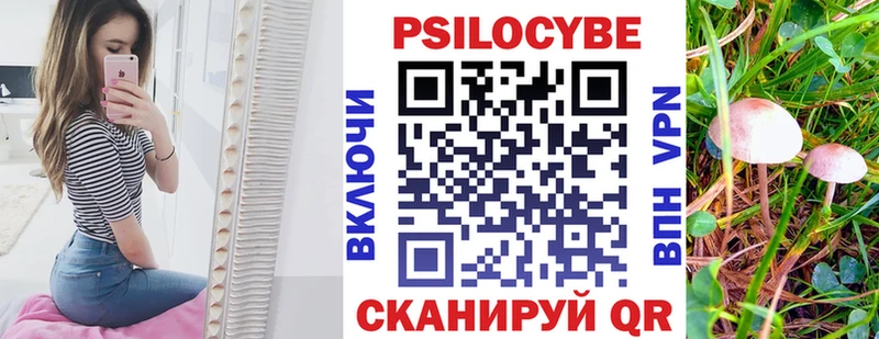 даркнет сайт  Ленинск-Кузнецкий  Псилоцибиновые грибы GOLDEN TEACHER 