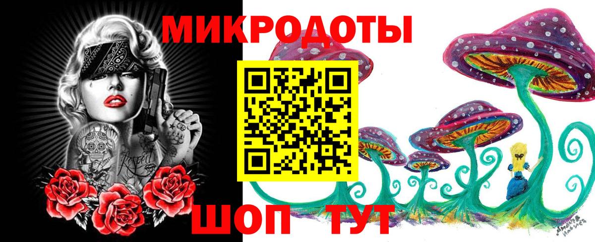 Псилоцибиновые грибы Psilocybine cubensis  Вход с VPN  Ленинск-Кузнецкий 